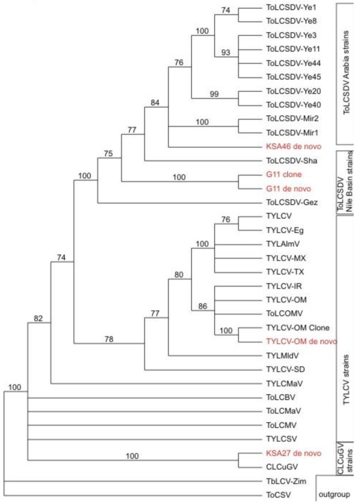 Figure 6