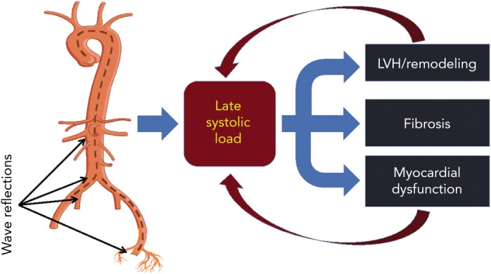 Figure 5: