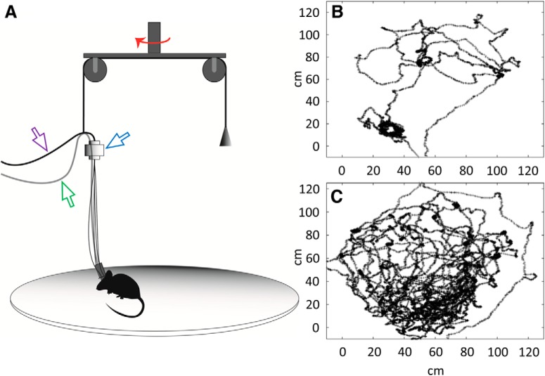 Figure 6.