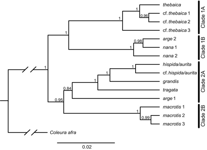 Figure 5