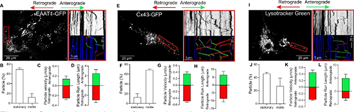 Figure 2: