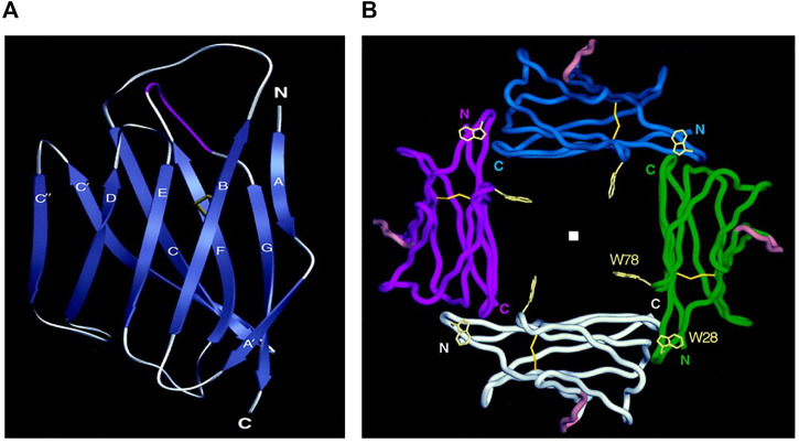 FIGURE 2