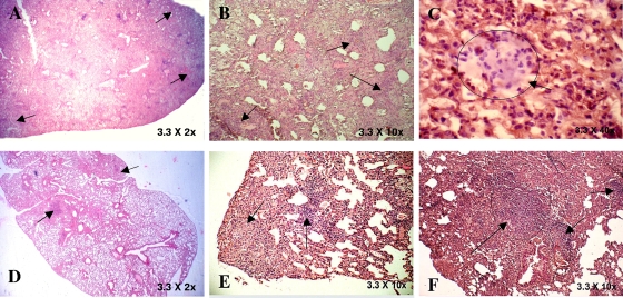 FIG. 9.