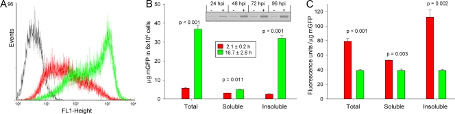 FIG. 2.