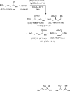 Scheme 4
