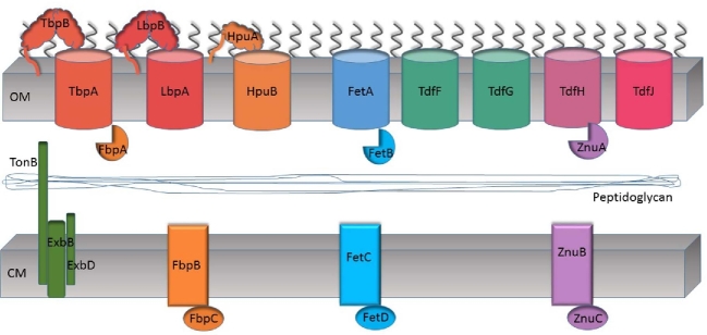 Figure 2.