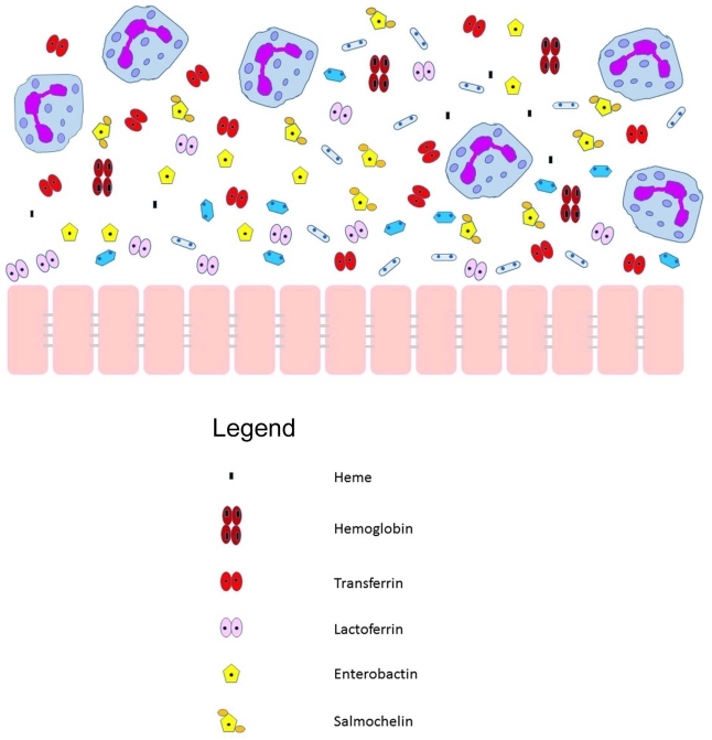 Figure 1.