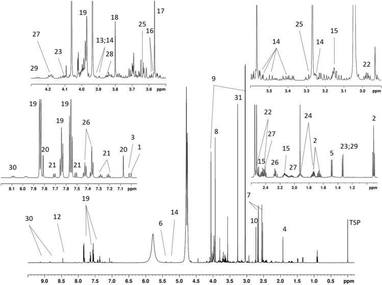 Fig. 2