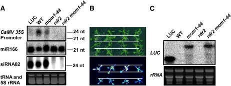 Figure 6.