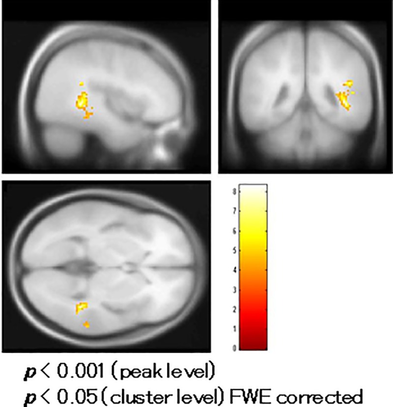 Fig 7