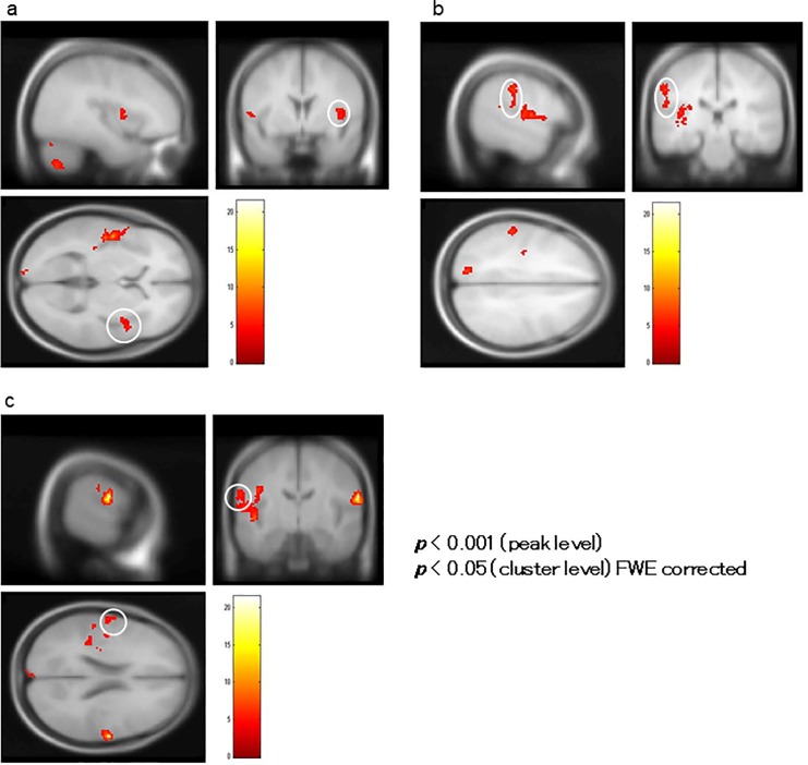 Fig 10