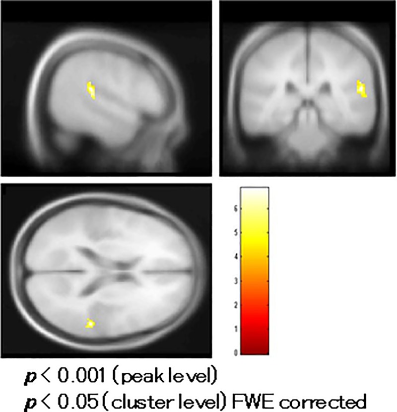 Fig 6