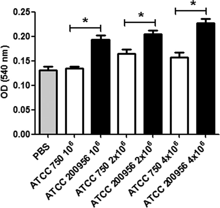 FIG 6