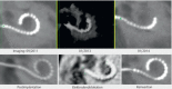 Figure 40