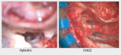 Figure 25