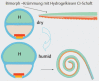 Figure 42