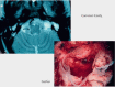 Figure 28