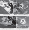 Figure 29