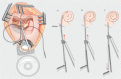 Figure 19