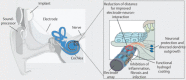 Figure 43