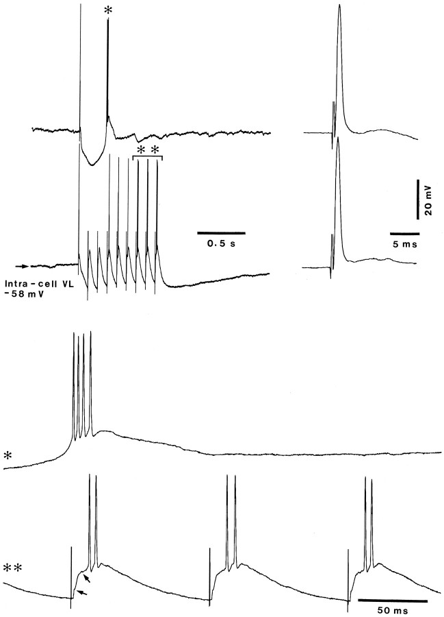 Fig. 8.