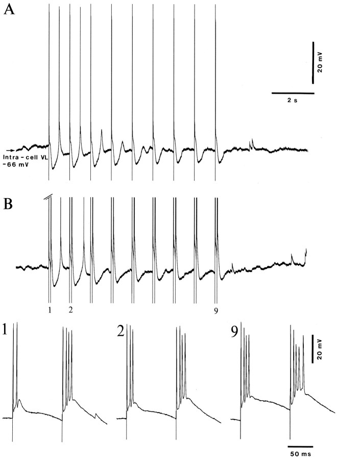Fig. 3.