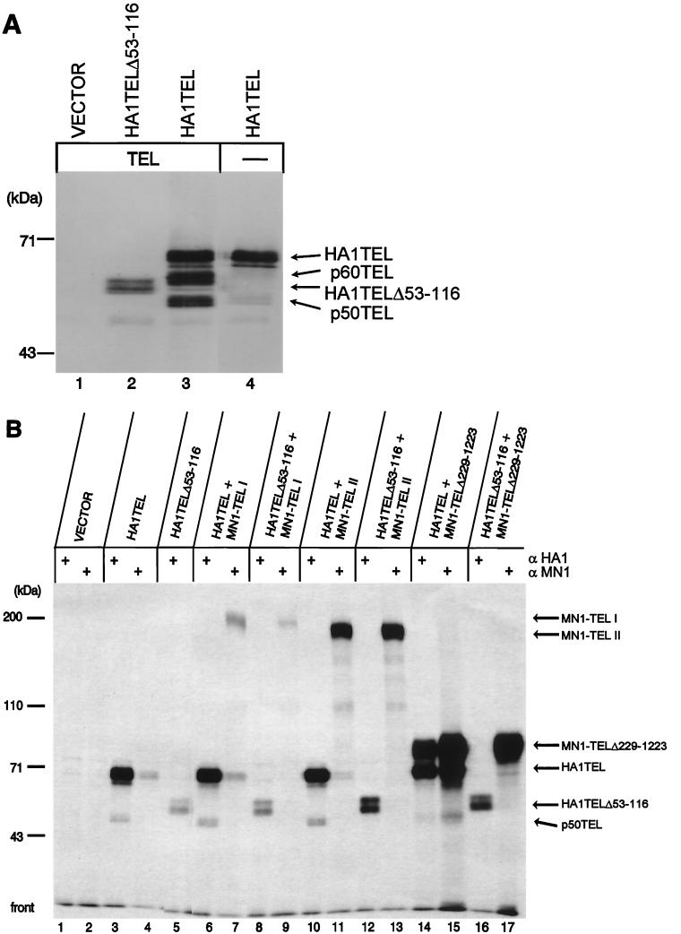 FIG. 5