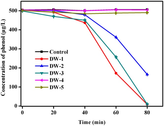 FIGURE 5