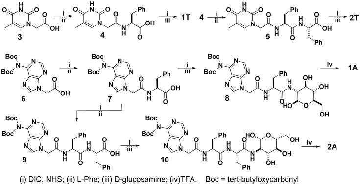 Scheme 2