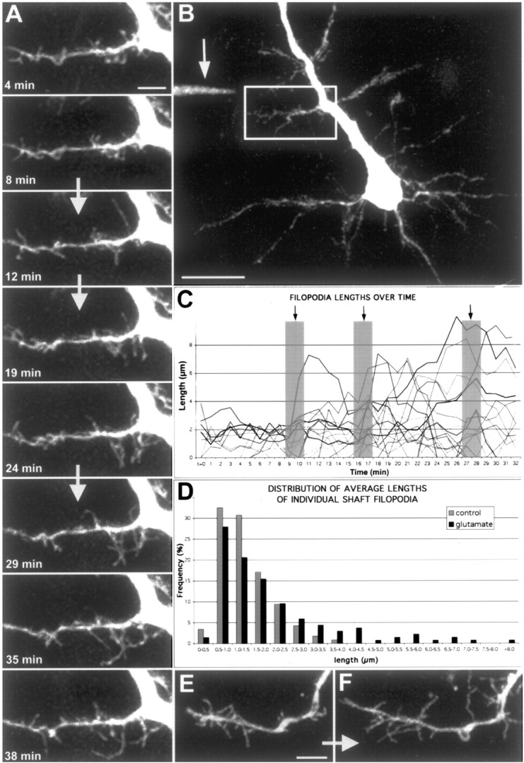 Figure 9.