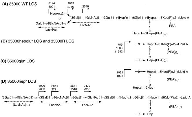 FIG. 6