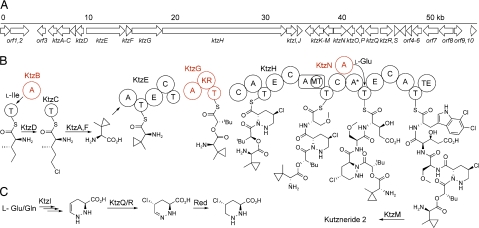 Fig. 2.