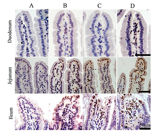 Figure 10.