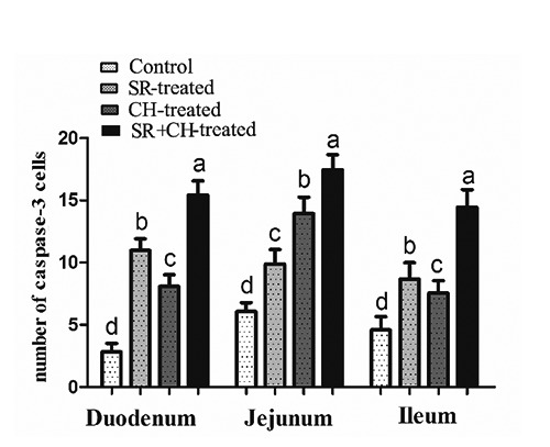 Figure 11.