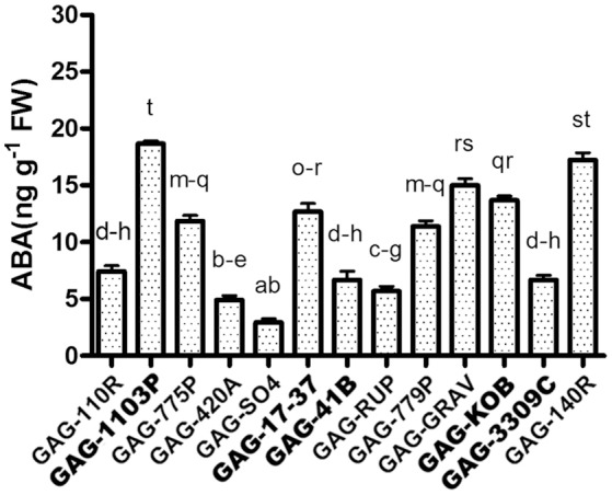 Figure 6