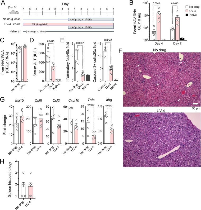 FIG 6