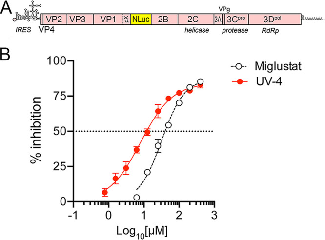 FIG 1