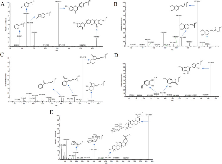 Fig. 4