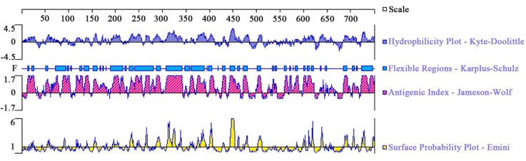 FIGURE 1