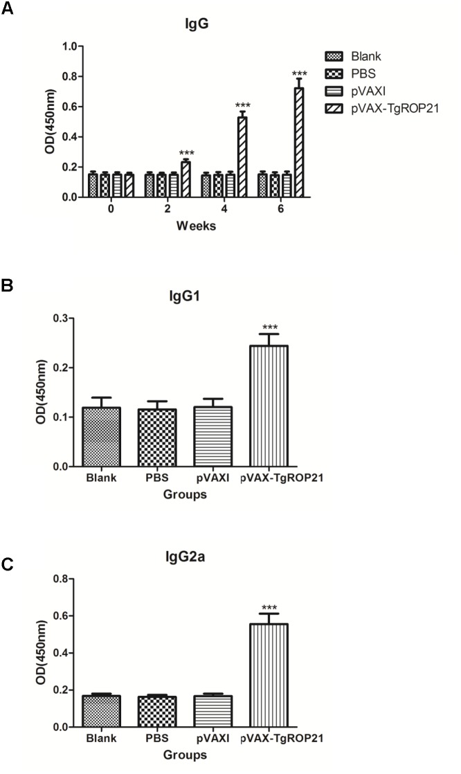 FIGURE 4