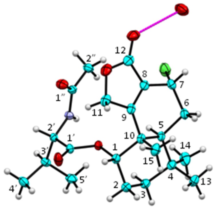 Figure 2