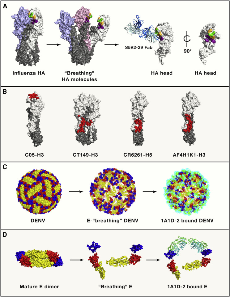 Figure 1