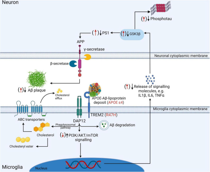 FIGURE 2