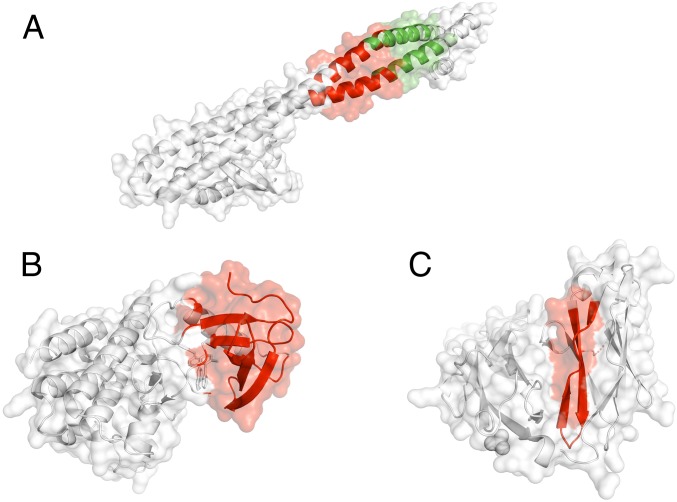 Fig. 4.