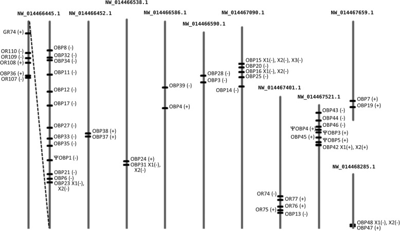 Fig. 2