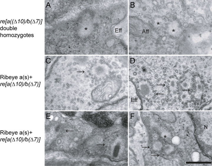 Figure 7.