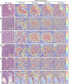 Extended Data Fig. 6: