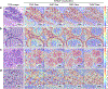 Extended Data Fig. 5: