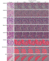 Extended Data Fig. 7: