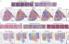 Extended Data Fig. 10: